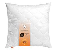 Oreiller 45 x 45 cm, coussin de canapé, 100% microfibres, convient aux personnes allergiques, sleepling Basic 100