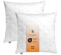 Oreiller 45 x 45 cm, set de 2, coussin décoratif, 100% microfibres, convient aux personnes allergiques, sleepling Basic 100