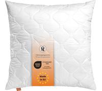 Oreiller 55 x 55 cm, coussin de canapé, 100% microfibres, convient aux personnes allergiques, sleepling Basic 100