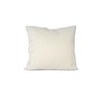 - Oreiller 60x60 cm ALOE VERA - Mémoire de forme