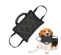 Oreiller à mordre pour chien | Oreiller à mordre à tirer de guerre, cale de morsure de chien, tapis de morsure pour chiens avec design durable pour l'entraînement, la mastication, le jeu interactif