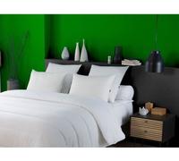Oreiller anti-acariens 50x70 cm - 100% Polyester - DODO