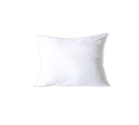 Oreiller bébé 35*45 cm