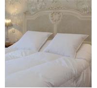 Oreiller - Belle Literie - 50x70 cm - 30% Duvet - 70% Plumettes - Anti-acariens