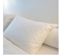 Oreiller - CASTEX COUETTES NATURELLES - Garnissage 30% Duvet - Dimensions 50x70 cm - Fermeté élevée