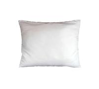 Douceur d'Intérieur - Oreiller Confort - Polyester - 60 x 60 cm - Blanc