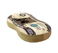 Oreiller D'argent - Support En Mousse 13x9 Pouces | Oreiller Lombaire À Motif De Mille Dollars, Coussin De Facture D'argent Drôle, Oreillers Décoratifs De Canapé-lit Pour La Relaxation Du Salon De Bur