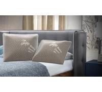 Oreiller en charbon de bambou à mémoire de forme HG6050BC de la marque Herzberg : 2