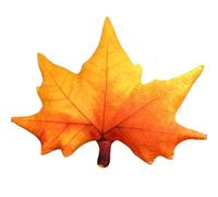 Oreiller en Peluche en Forme De Feuille, Coussin Décoratif en Forme D'érable Doux Et Moelleux Idéal pour Décorer Une Chambre Ou Un Jardin(Orange)