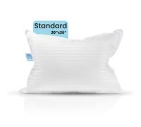 Oreiller ferme East Coast Bedding Balanced Dream, oreiller standard, soutien moyen, taille standard, 50 x 66 cm, oreillers en duvet d'oie, envelo