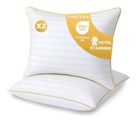 Oreiller Hôtel 60x60cm Lot de 2-Coussin lit Moelleux & Doux Coussin de lit adulte-Standing Hôtellerie Luxe-Certifié-Lavable