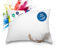 Oreiller lavable avec garnissage en 100 % plumes et enveloppe en 100 % coton Certifié Öko-Tex 100 Blanc Disponible dans de nombreuses dimensions (40 x 40 cm, 50 x 50 cm, 60 x 60 cm, 45 x 45 cm, 40 x 50 cm, 30 x 50 cm), Tissu, Weiß, 40 cm x 60 cm
