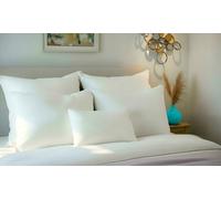 Oreiller moelleux aloe vera à mémoire de forme marque Nupsia : 60 x 60 cm