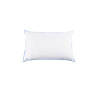 Oreiller moelleux duvet de canard anti-allergènes Someo 45x70