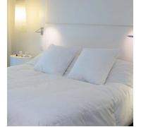 Oreiller naturel plumes - Marque - Modèle - Garnissage Canard - Dimensions 60x60 cm