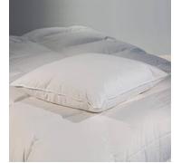 Oreiller naturel plumes - Marque - Plat 60x60 cm - Duvet de Canard - Blanc