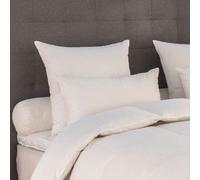 Oreiller Népal Renforcé - MEDIUM - 70% Duvet Canard - 50x75 cm