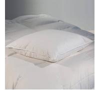 Oreiller plat Duvet-Plumettes Castex - 60x60cm