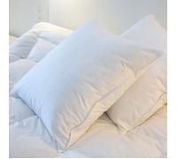 Oreiller plat Duvet-Plumettes Castex - 65x65cm