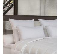 Oreiller Titanium - MEDIUM - 70% Duvet Oie et Canard - 50x75 cm