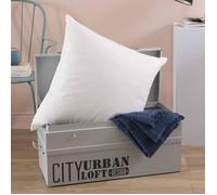 Oreiller - TOISON D'OR - POLLUX - Confort ferme - 65 x 65 cm - Blanc