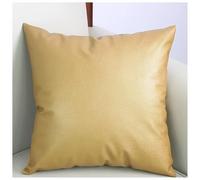 Oreillers 30/40/50/60x60/50x80, Remplissage en Coton PP, Housse d'oreiller en Cuir PU Lavable en Machine for Maison Salon Chambre Canapé Décoration(6,40x40cm/16x16in)