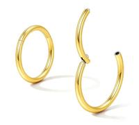 OreilleStar Anneaux de nez, anneau de septum, mini cercle rond en acier chirurgical 316L, boucles d'oreilles à charnière à clic, calibre 14, 13 mm, idéal pour hélix, cartilage, daith, tragus, trou de