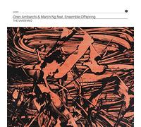 Oren Ambarchi & Martin Ng - Vanishing