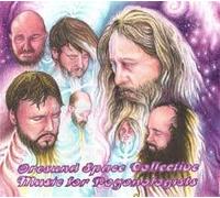 Oresund Space Collective - Music for Pogonologists [Import]