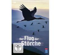 Orf Universum - Der Flug der Störche