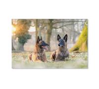 ORFBKGhfb DIY 5D Diamond Painting Kits，Le Malinois，Broderie Diamant Peinture Kits Full Round Drill Cristal Strass Point De Croix Arts Craft Décoration Maison/Salon/Chambre/Bureau（30x40cm-G15