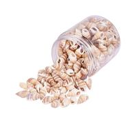 ORFOFE 1 boîte Mini Coquillages Naturels pour Décoration DIY Ornements Marins pour Bougies Vases Fêtes Plage et Mariage Accessoires pour Aquarium et Créations Artisanales Boîte