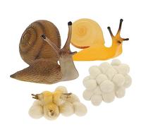 ORFOFE 1Ensemble Modèle Éducatif Escargot Jouets Cognitifs pour Simulations Réalistes pour Comprendre la Nature Kit Apprentissage et Décoratif