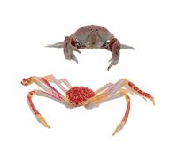 ORFOFE 2 Pièces Jouets Crabe PVC pour Garçon Fille Figurines Simulées Sécurisées et Colorées pour Apprentissage Précoce et Décoration Fête Thématique Océan