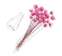 ORFOFE 2 Pièces Mini Vase Verre avec Bouquet de Fleurs Séchées pour Maison de Poupée Mini Plantes Pot Décoratives pour Accessoires de Poupée