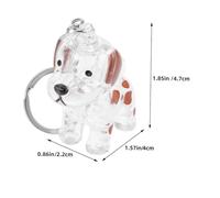ORFOFE 2 Pièces Porte-clés Transparent pour Souvenir de Poils de Chien Porte-Bijoux pour Stockage de Poils Sentimental pour Amoureux des Animaux Lot