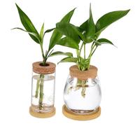 ORFOFE 2 pièces Vase Hydroponique Verre Borosilicate Vase Propagation avec Bouchon Liége et Plateau Transparent pour Plantes Intérieur Système sans Terre Facile à Entretenir
