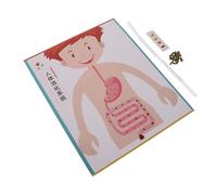 ORFOFE 4 Ensembles DIY Digestive System Model Kit for Middle School Interactive Human Body Toy for Stem Learning Science Experiment and Educational Craft