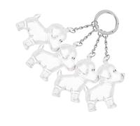 ORFOFE 4 Pièces Porte Clés Boîte Transparente pour Poils de Chien Souvenir Commémoratif pour Propriétaires Danimaux Porte Charme Émotionnel Pratique et Discret