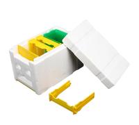 ORFOFE Boîte à Accouplement pour Abeilles Ruches Portables Outil Apiculture pour Élevage Et Pollinisation Compatible avec Abeilles Italiennes Et Chinoises