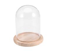 ORFOFE Cloche en Verre 9X12Cm Fait Main avec Socle Transparent pour Fleurs Micro-Paysage Couverture De Floral DIY IdéAl PréSent Saint-Valentin Anniversaire
