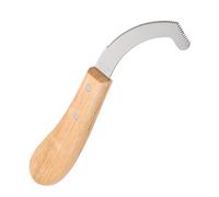 ORFOFE Couteau à Œufs de Bot pour Chevaux - Outil de Toilettage de Précision en Acier Inoxydable avec Manche en Bois Ergonomique - Grattoir Professionnel pour Élimination Sûre des Œufs de