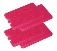 ORFOFE de Glace pour glacière, Lot de 4, 200 ML, PE, Design Peu encombrant, sûr pour Les Aliments, pour Transport de médicaments et expédition
