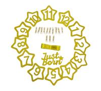 ORFOFE Guirlande Photo à Pinces 12 Étapes Mensuelles Bébé, Bannière Décorative pour Premier Anniversaire, Couleur Paillettes Étoile, Set 1 Guirlande Anniversaire Garçon et Filles,