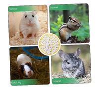 ORFOFE Hamac Suspendu pour Petits Reptiles et Rongeurs Confortable et Respirant Accessoire de Cage Adapté Aux Lézards Hamsters et Chinchillas Installation Facile Aux Coins Cage
