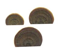 ORFOFE Lot De 3 Étagères Murales Flottantes en Résine Petites Étagères Flottantes pour La Maison Et Le Bureau Support De Rangement Décoratif
