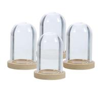 ORFOFE Lot de 4 Sets de Mini Cloches en Verre Transparent 38x25 Mm avec Socle en Bois Naturel pour Fleurs Éternelles, Dôme de Guirlandes Lumineuses et Décor Micro-Paysage, pour Maison