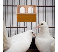 ORFOFE Mangeoire Suspendue pour Perroquets Et Perruches à Double Compartiment, Plastique Robuste, Taille Moyenne, Usage en Cage, Accessoires pour Cages à Oiseaux Et Volatiles Petits Adultes
