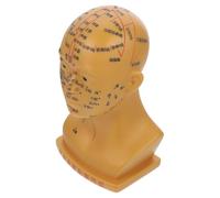 ORFOFE Modèle D'acupuncture Tête Humaine 20 Cm en Pvc Cuivre, Modèle Points D'acupuncture Faciale pour Enseignement et Massage, Outil Pédagogique Santé Précis