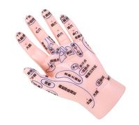 ORFOFE Modèle de Réflexologie Main Acupuncture Précis avec Points Étiquetés pour Enseignement Tcm Formation Massage et Institutions Médicales